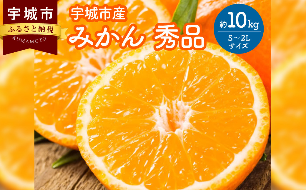 みかん 秀品 10kg【2024年10月上旬から2025年2月下旬発送予定】柑橘 フルーツ 果物 くだもの