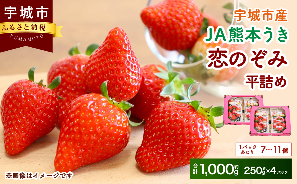 【JA熊本うき】いちご 恋のぞみ 平詰め（250g×4パック）合計1kg【2025年1月上旬～3月上旬発送予定】苺 イチゴ