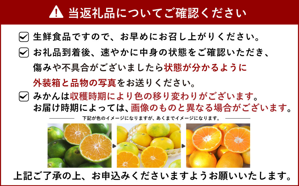 宇城市産 スイートスプリング 約8kg（40個前後） ひでみかん 【12月上旬から2025年1月下旬発送予定】 柑橘 果物 くだもの お取り寄せ 熊本県 宇城市