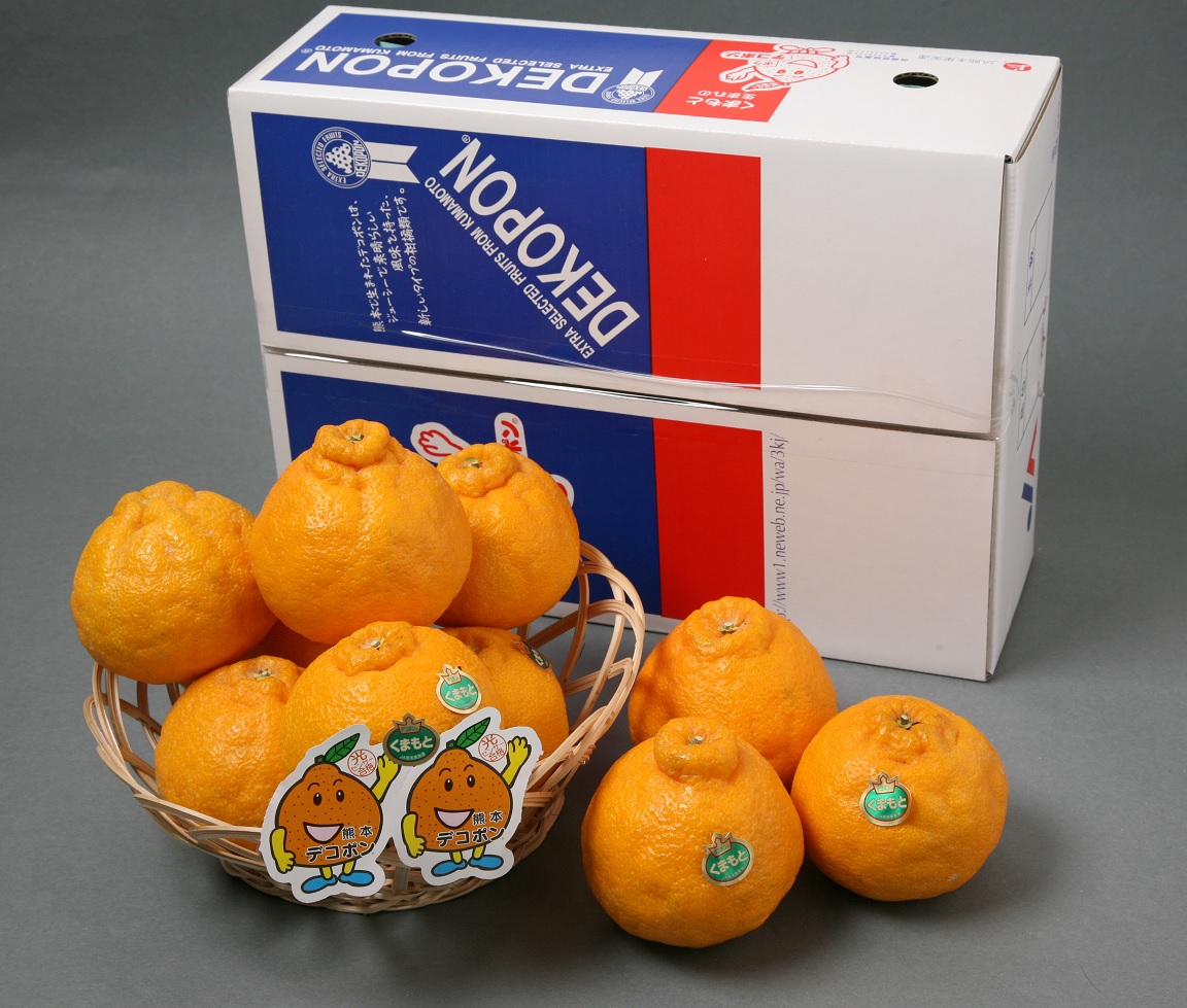 ã2026幎2æäžæ¬ã5æäžæ¬é é æ¬¡çºéäºå®ãçæ¬çå®ååžç£ ãã³ãã³ 4LãSãµã€ãº çŽ2.5kg ã§ããœã äžç¥ç« æç© ææ©