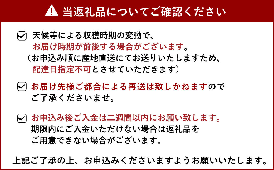 【12月からの4ヶ月定期便】ポンポンパック 定期便 柑橘 果物 くだもの お取り寄せ 熊本県 宇城市