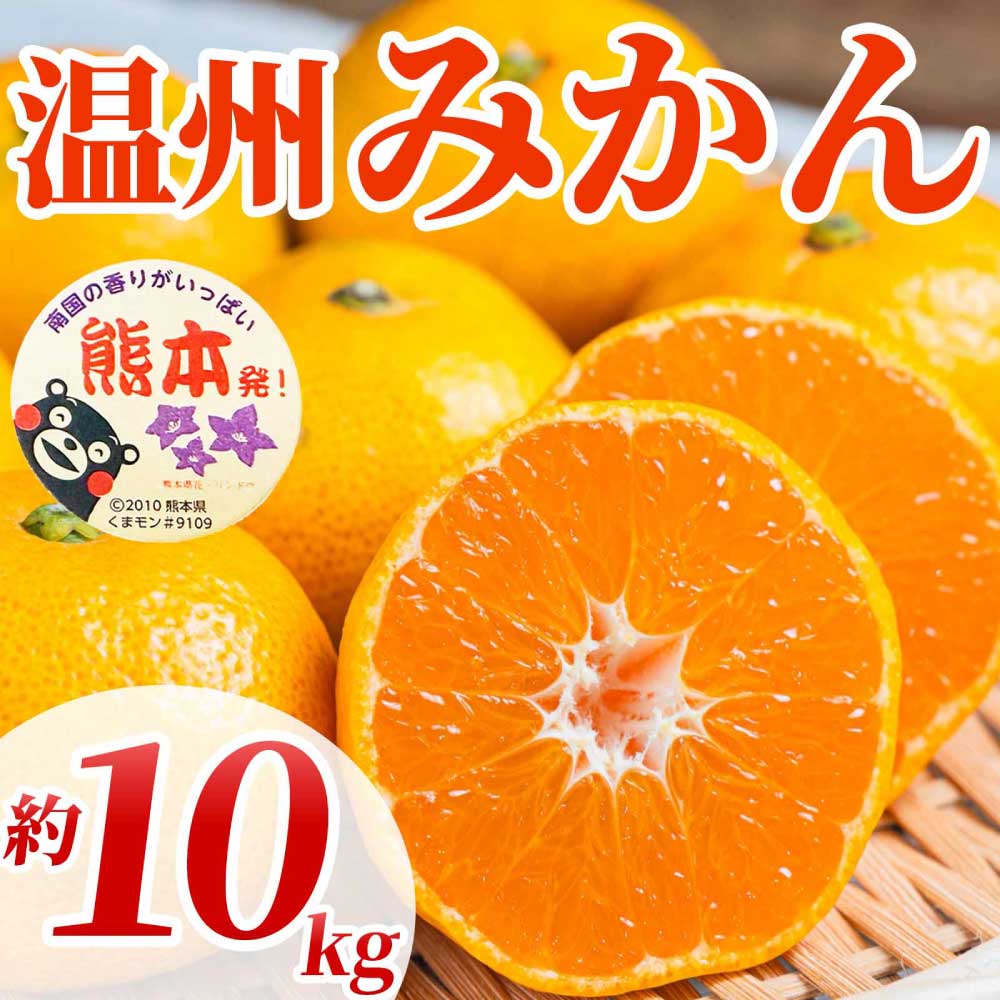 先行予約 温州みかん 約10kg (2S〜2L)【2026年10月上旬〜2027年2月下旬発送予定】みかん ミカン フルーツ 果物 柑橘 かんきつ 蜜柑 うんしゅうみかん ウンシュウミカン 熊本県 熊本 九州 宇城市 国産 高糖度 甘い ジューシー 日本フルーツ