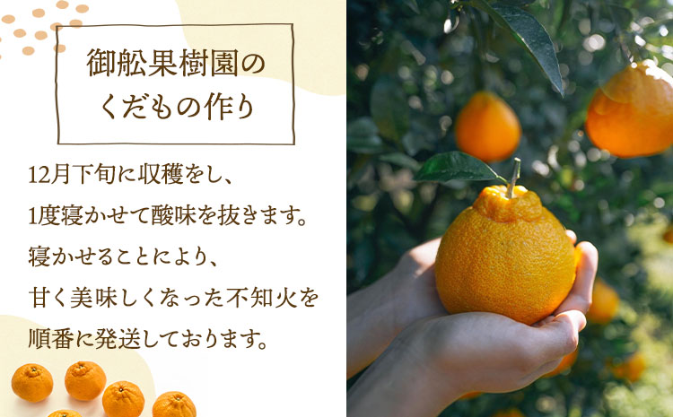 å
è¡äºçŽ èš³ãã äžç¥ç« æããäžç¥ç« éžã¹ã容é çŽ2kg ã2026幎4æäžæ¬ãã2026幎6æäžæ¬çºéäºå®ã åŸ¡è©ææš¹å ãããã äžæã ããã¬ã ææ© å®ååž çæ¬çç£