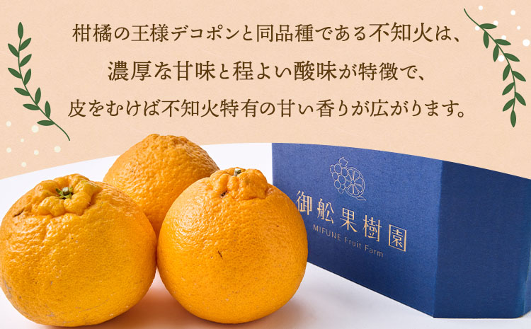 å
è¡äºçŽ èš³ãã äžç¥ç« æããäžç¥ç« éžã¹ã容é çŽ10kg ã2026幎4æäžæ¬ãã2026幎6æäžæ¬çºéäºå®ã åŸ¡è©ææš¹å ãããã äžæã ããã¬ã ææ© å®ååž çæ¬çç£