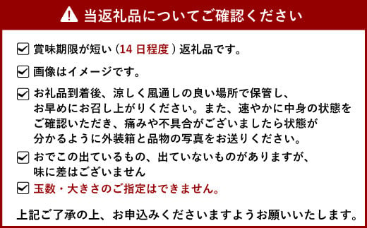 【先行受付】デコポン発祥の地 宇城産 露地物デコポン 約5kg（18～20玉）【2025年3月上旬から3月下旬発送予定】デコポン でこポン 柑橘 果物 フルーツ かんきつ