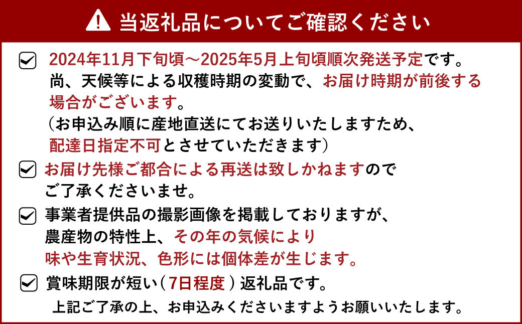 ミニトマト 約3kg×2箱 合計約6kg【11月下旬から2025年5月上旬発送予定】やさい 野菜 トマト とまと プチトマト 新鮮 フレッシュ