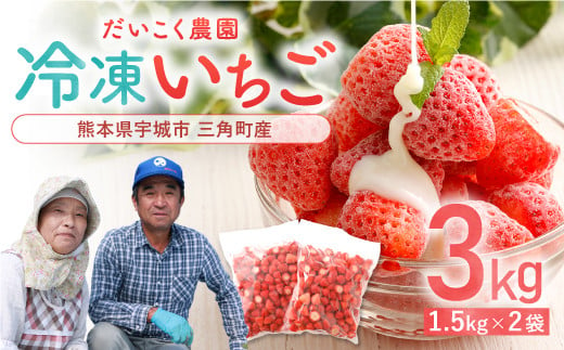 熊本県産 冷凍 いちご 3kg（1.5kg×2袋）だいこく農園 イチゴ 苺 果物