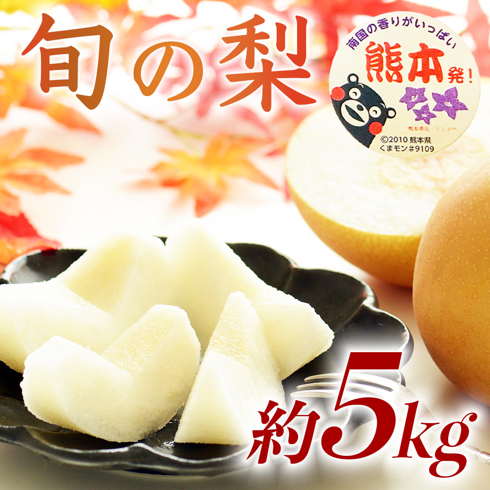 先行予約 旬の梨 品種おまかせ 約5kg（6〜18玉）【2026年8月上旬〜2026年10月中旬配送予定】梨 なし ナシ 幸水 豊水 秋月 新高 新興 秋麗 甘太 凛果 にっこり 愛宕 果物 フルーツ くだもの おまかせ 国産 熊本県 日本フルーツ