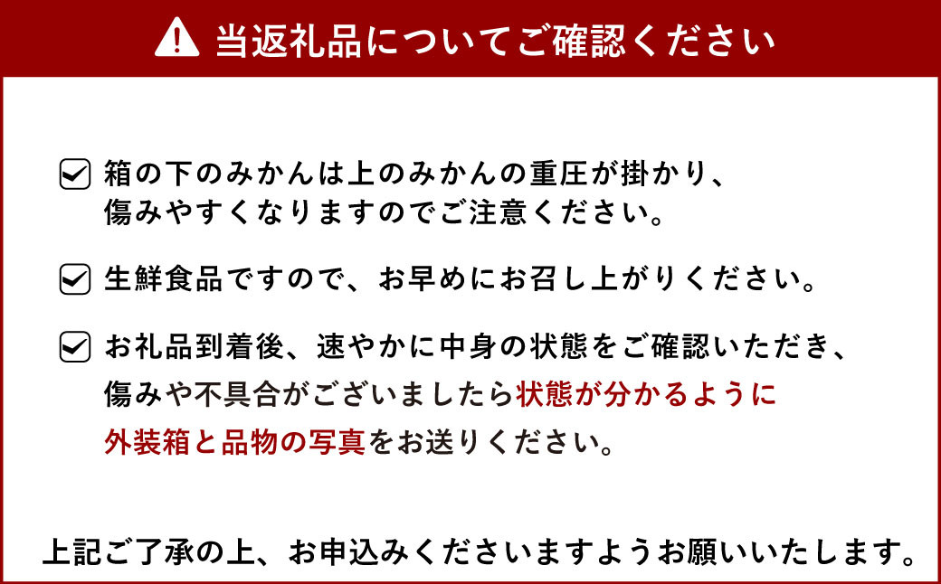 宇城市産 早生 ポンカン 約8kg（40個前後）ひでみかん【12月上旬から12月下旬発送予定】 柑橘 果物 くだもの お取り寄せ 熊本県 宇城市