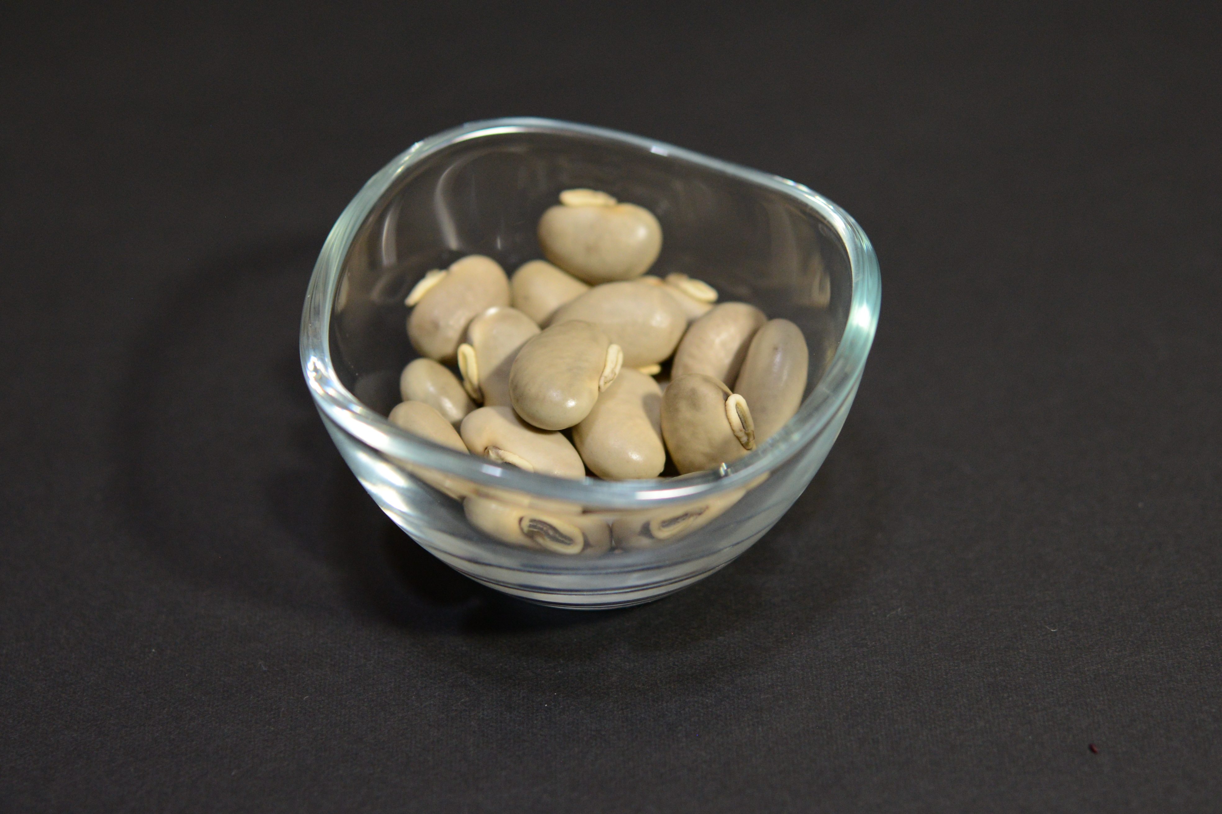 çæ¬ç£ çã ã¯ãè± 500g ãããªè± ç é£ç掻 çæ¬ç å®ååž