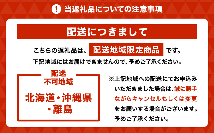 先行予約 いちご 恋のぞみ (250g×4パック) 合計1kg 【2026年2月上旬～3月上旬発送予定】熊本県産  冷蔵 小分け いちご 熊本県産 苺 JA熊本うき