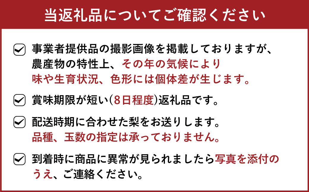 濃あま梨（訳あり品）約4kg（8〜14玉前後）【農園とフォーク青果店】品種おまかせ【8月下旬から9月下旬発送予定】