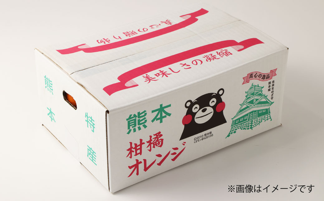 宇城市産 自然栽培不知火 約5kg（15～22玉）【高岡農園】【2025年3月上旬～2025年4月上旬発送予定】不知火 デコポン 柑橘 果物 フルーツ