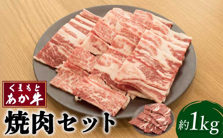 くまもとあか牛 焼肉用 セット 合計約1kg カルビ 肩ロース 和牛 牛肉