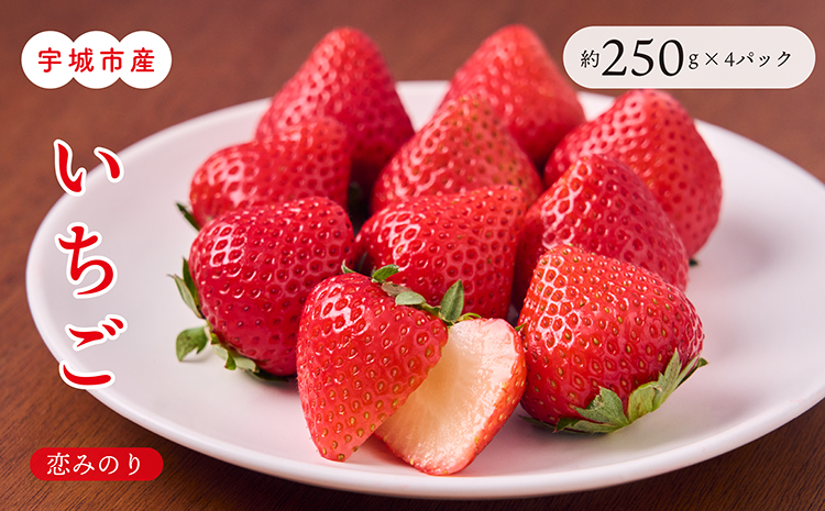 【3月発送】 先行予約 いちご 「恋みのり」約250g×4パック 宇城市産いちご 熊本県産いちご 宇城市産いちご 熊本いちご 国産いちご いちご4パック 2026年3月上旬発送予定
