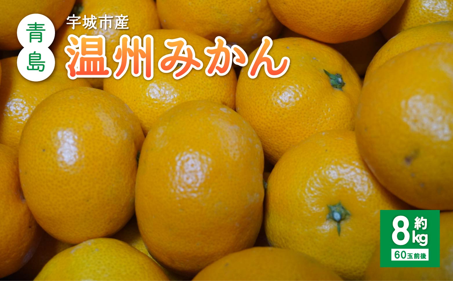 先行予約 みかん 青島 温州みかん 約8kg 60個前後 ひでみかん 【2026年12月上旬から12月下旬発送予定】 温州みかん 柑橘 果物 くだもの お取り寄せ 熊本県 宇城市 宇城市産