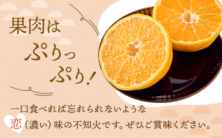 å
è¡äºçŽ èš³ãã äžç¥ç« æããäžç¥ç« éžã¹ã容é çŽ10kg ã2026幎4æäžæ¬ãã2026幎6æäžæ¬çºéäºå®ã åŸ¡è©ææš¹å ãããã äžæã ããã¬ã ææ© å®ååž çæ¬çç£