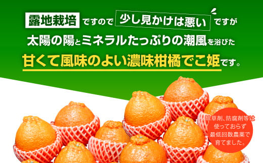 【先行受付】不知火 でこ姫 大箱 約4.5kg（11〜20玉）【吉田レモニー】【2025年4月上旬〜2025年5月下旬発送】しらぬい 柑橘 フルーツ 果物