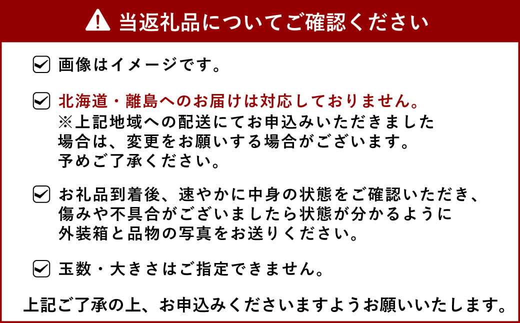 【2024年発送分 4回定期便】 宇城市産 旬の フルーツ 定期便