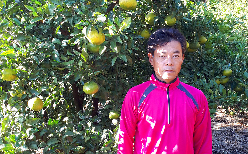 【2023年3月上旬～順次発送予定】宇城市産 不知火 木村果樹園 約5kg（15玉～22玉前後）柑橘 果物