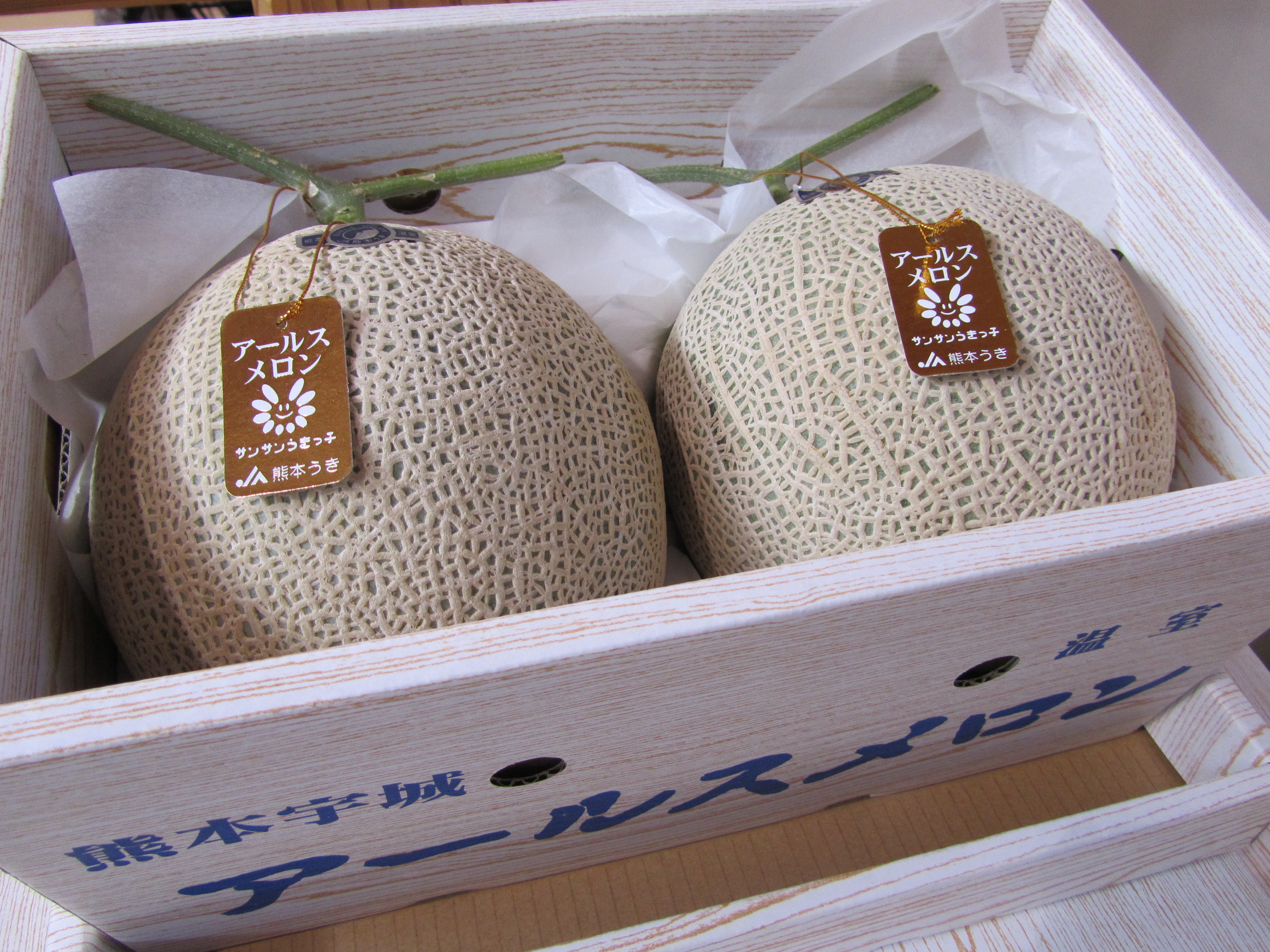 【先行予約】【2026年6月上旬〜6月下旬頃発送予定】アールスメロン 2玉入り 合計約3.4kg