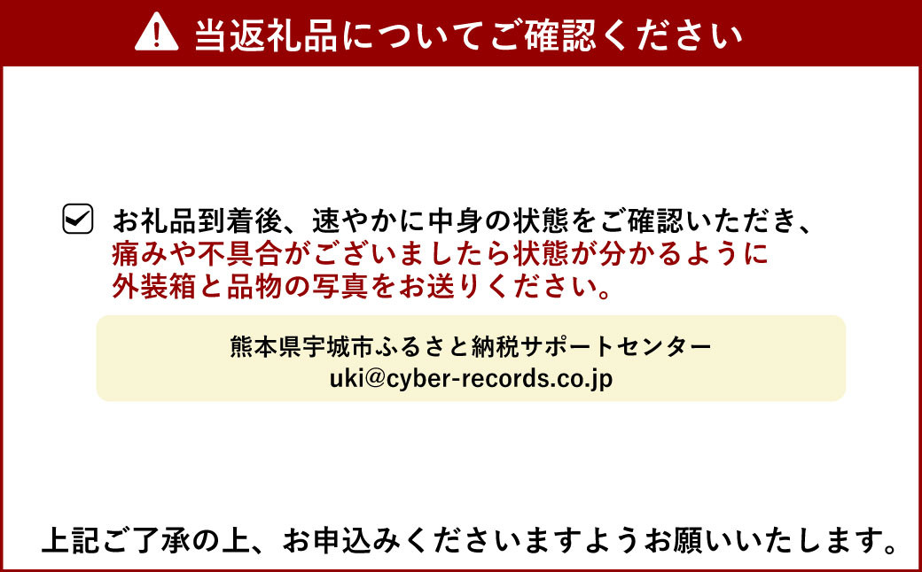 【先行予約】不知火 約3kg【のむちゃん農園】【2025年2月下旬から5月下旬発送予定】みかん 不知火 柑橘 果物 フルーツ 熊本県 