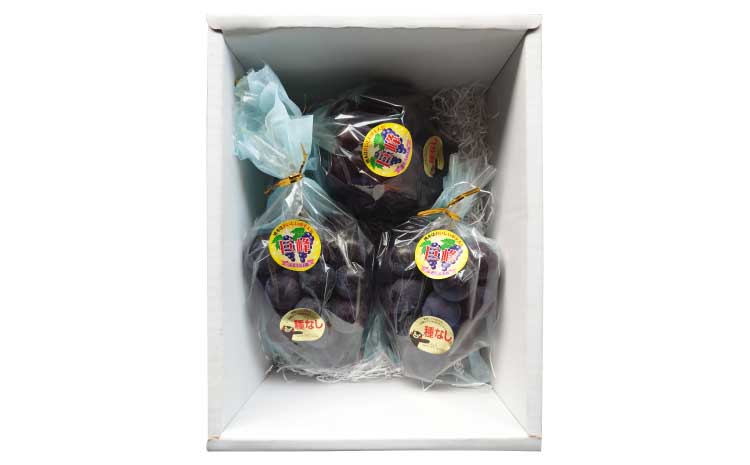 【先行予約】 熊本県 宇城市産 巨峰 2〜3房 約1kg【ギフトボックス】【2026年7月下旬〜8月上旬頃発送予定】ギフト ぶどう ブドウ 葡萄 大粒