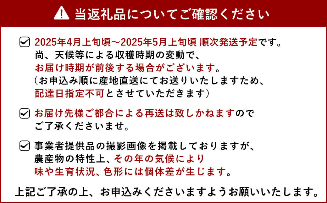 【先行予約】宇城市産  あーちゃん家の 不知火 5kg【2025年4月上旬～5月上旬発送予定】しらぬい 柑橘