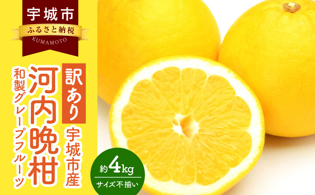 訳あり 河内晩柑 4kg【2025年3月下旬から2025年7月下旬発送予定】晩柑 ジューシーオレンジ 果物 フルーツ 規格外 不揃い