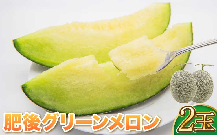【先行予約】 肥後グリーン メロン 2玉 藤山農園【2026年7月上旬〜7月下旬頃順次発送予定】