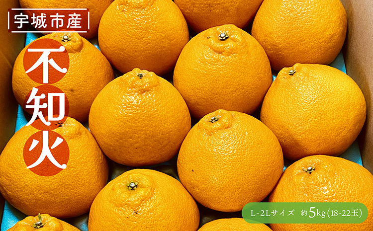 先行予約 不知火 約5kg 【2026年3月上旬〜2026年5月上旬発送予定】 しらぬい 果物 くだもの フルーツ 柑橘 谷川果樹園