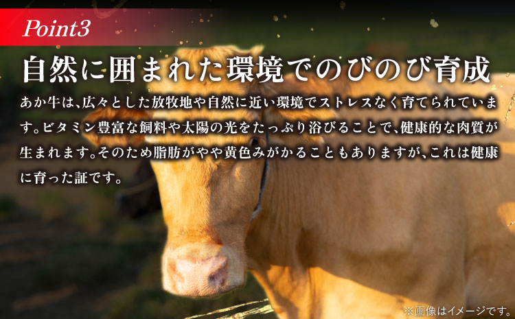 あか牛ヒレ肉 シャトーブリアン 約3kg(約150g×20枚)