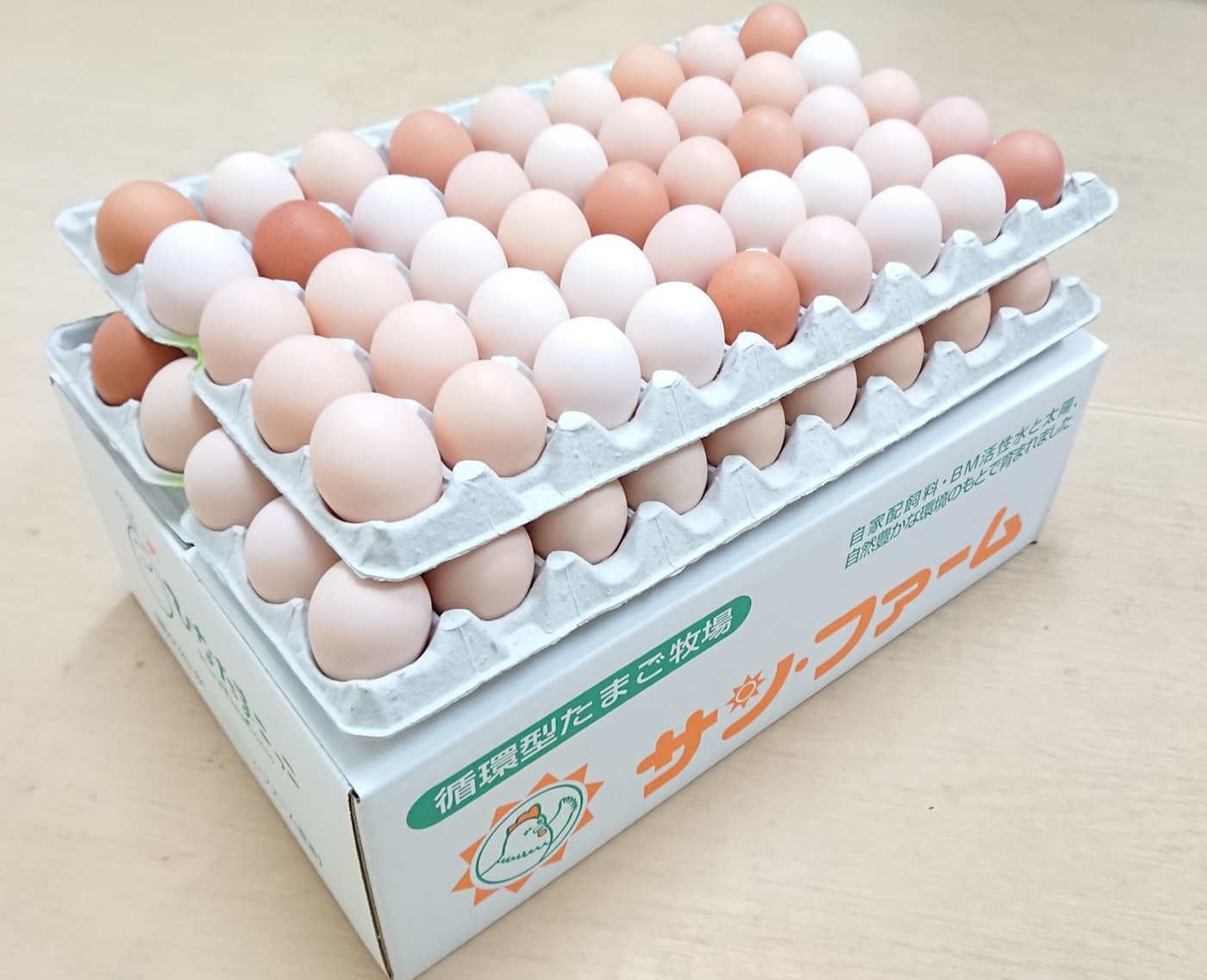 ææ¡ã ãããããŸã 90åïŒMãµã€ãºïŒåµ 10åç Žæè£åå«ã