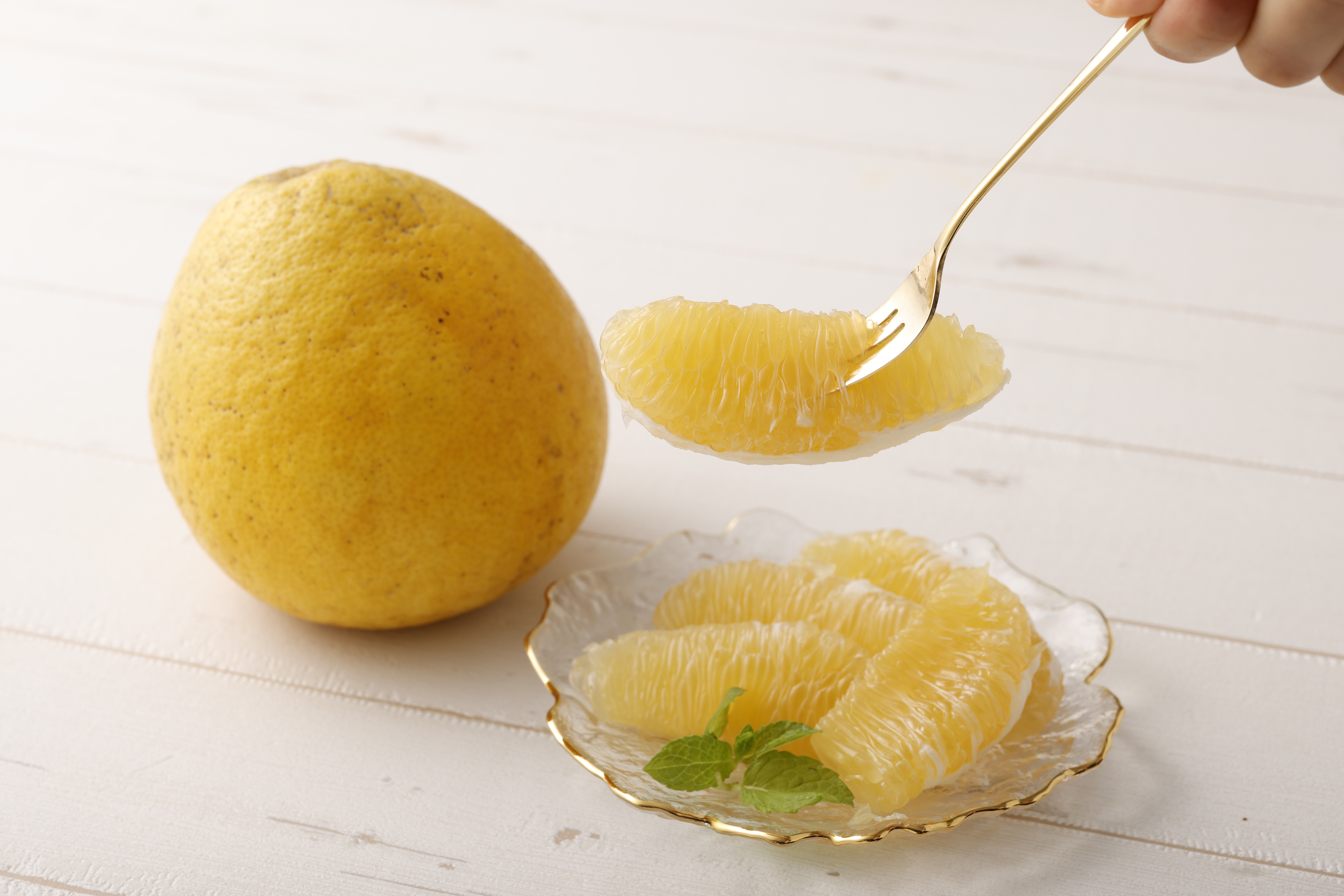 河内晩柑 ジューシーオレンジ 約4.5kg 【高橋果樹園】【2026年4月上旬から2026年6月下旬順次発送予定】晩柑 熊本県 宇城市 宇城市産河内晩柑 熊本県産河内晩柑 国産河内晩柑 