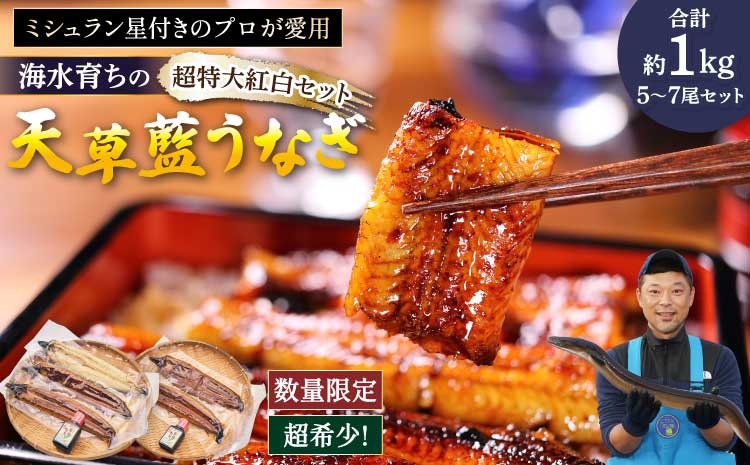 うなぎ [ミシュラン1つ星店 採用]数量限定!! 海水育ちの天草藍うなぎ 超特大 紅白 5〜7尾 セット[合計約1kg]蒲焼き 白焼き 鰻重 鰻丼 鰻 蒲焼き ギフト