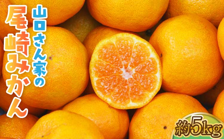 【先行予約】山口さん家の尾崎みかん 約5kg 【2026年12月上旬-12月下旬発送予定】柑橘 果物 フルーツ