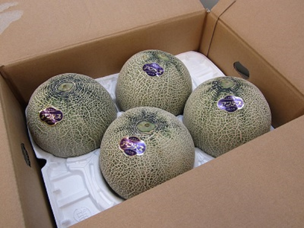 【先行予約】【2026年4月中旬〜5月中旬頃発送予定】アンデスメロン 4玉入り 合計約5kg