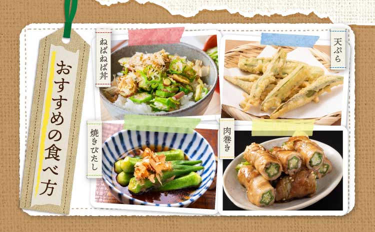 ãå
è¡äºçŽãã2026幎4æäžæ¬ãã2026幎10æäžæ¬é é æ¬¡çºéäºå®ããªã¯ã© ããã åšç°ããå®¶ã®ãªã¯ã©800gïŒ80gÃ10è¢ïŒ æ°é®®éè å€éè å®¶åºæç åœç£ åœç£éè çæ¬çç£ åœç£ ä¹å· çæ¬ç å®ååž ç²ããåŒ·ã æããã çãå°ãªã ã·ã£ãã·ã£ã ã飯ã®ãäŸ å€ãã察ç ãµã©ã ãã²ãã