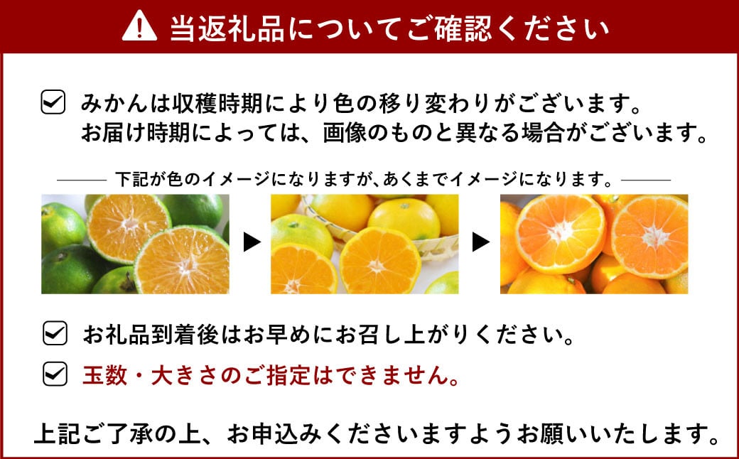 宇城市産 汐風みかん 約5kg【のむちゃん農園】【11月上旬から2025年1月下旬発送予定】みかん オレンジ 果物 フルーツ 熊本県 