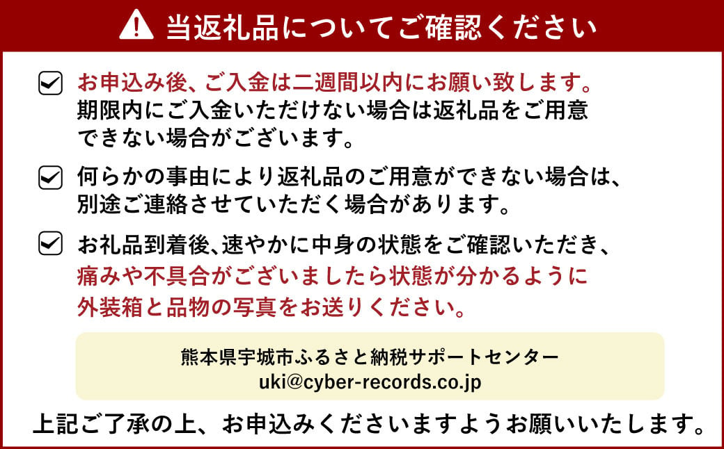 宇城市産 汐風みかん 約5kg【のむちゃん農園】【11月上旬から2025年1月下旬発送予定】みかん オレンジ 果物 フルーツ 熊本県 