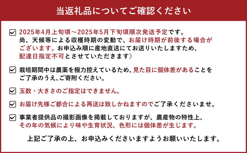 宇城市産 ジューシーオレンジ 約10kg（20玉前後）【高岡農園】【2025年4月上旬～2025年5月下旬発送予定】オレンジ 河内晩柑