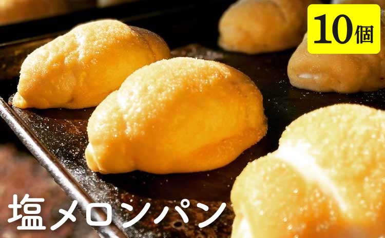 メロンパン 塩メロンパン 10個セット メロンパン パン 菓子パン スイーツ おやつ 朝食 軽食 冷凍 詰め合わせ 熊本県 宇城市