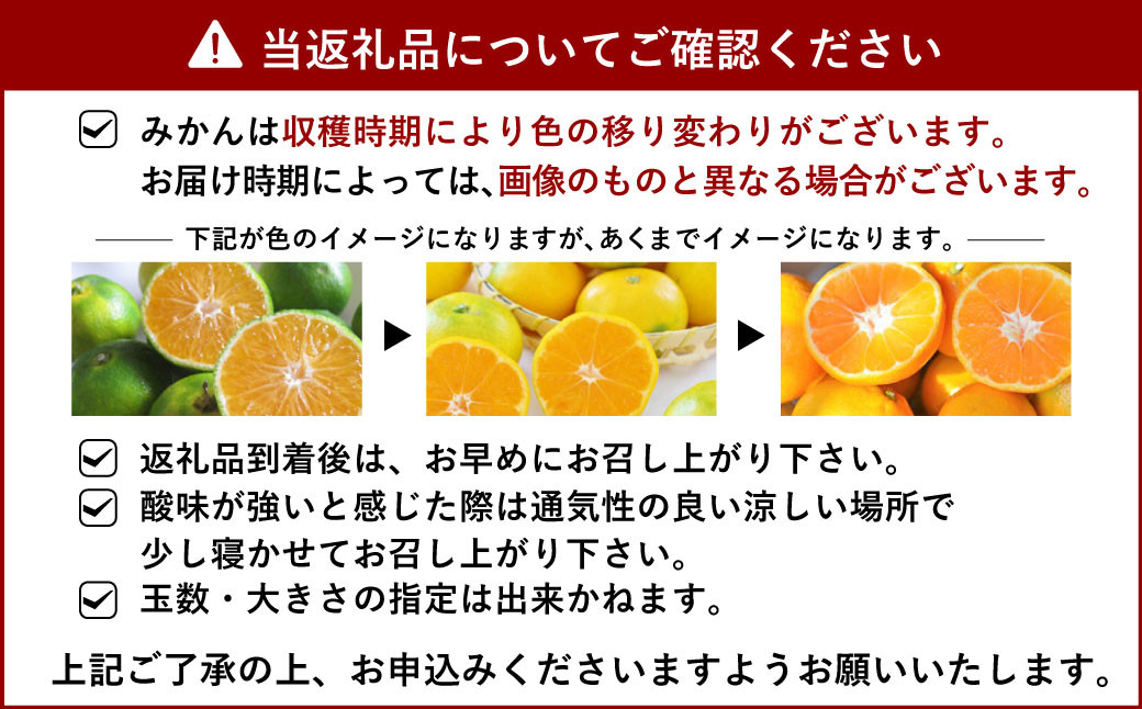 年4回 果樹園の柑橘定期便【2025年1月下旬発送開始】ポンカン5kg 不知火4kg 極早生みかん5kg 早生みかん5kg 合計19kg 定期便 不知火 しらぬい ポンカン みかん ミカン 蜜柑 くだもの フルーツ 果物 