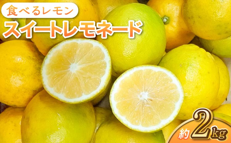 食べるレモン スイートレモネード 約2kg（15〜25玉）【吉田レモニー】【2025年12月上旬-2026年6月上旬発送】