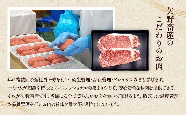 ããŸããšããç ããŒã¹ ã¹ããŒã çŽ800g(çŽ200gÃ4æ) åç çè