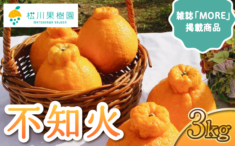 先行予約【雑誌 MORE 掲載】不知火 約3kg (約9～12玉) 【2026年3月上旬から4月下旬発送予定】しらぬい 柑橘 みかん ミカン 蜜柑 果物 くだもの フルーツ 九州産 熊本県産 宇城市産 国産