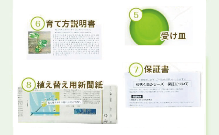 【森水木のラン屋さん】斑入り モンステラ タイ コンステレーション 2.5号ポット 栽培苗 植え替えセット付き ベージュ系素焼き鉢 熊本県 宇城市産 モンステラ 希少品種 観葉植物 インテリア グリーン 希少 希少品種 斑入り植物 おしゃれ ギフト 室内 人気 初心者 向け リビング 開店祝い 新築祝い