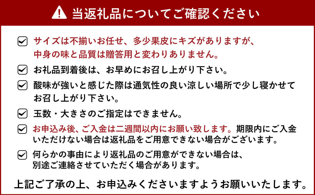 【先行予約】宇城市産 あーちゃん家の不知火 訳あり 10kg【2025年4月上旬～5月上旬発送予定】しらぬい 柑橘