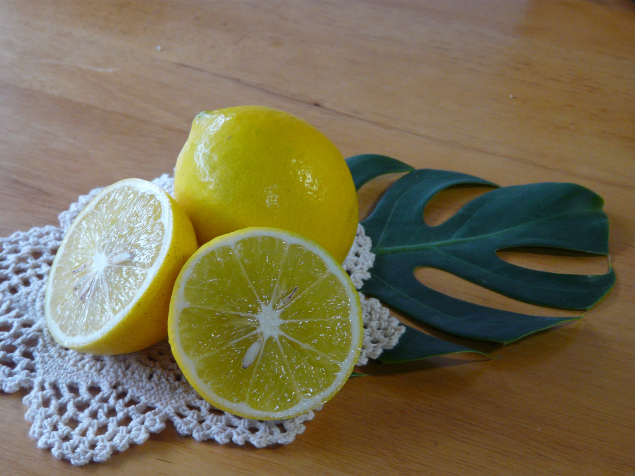 レモン マイヤーレモン 約3kg 15～20玉 【吉田レモニー】【2025年9月下旬-2026年6月上旬発送】 柑橘 宇城市産 熊本県産 九州産 国産