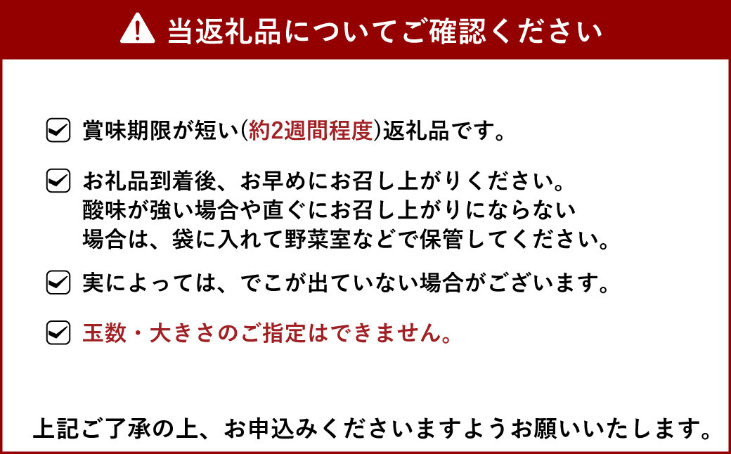 【先行予約】 宇城市産 加温栽培 不知火 約3kg（約7玉～10玉）【坂下園】【2024年12月上旬から下旬発送予定】しらぬい 蜜柑 熊本県産 九州産 国産